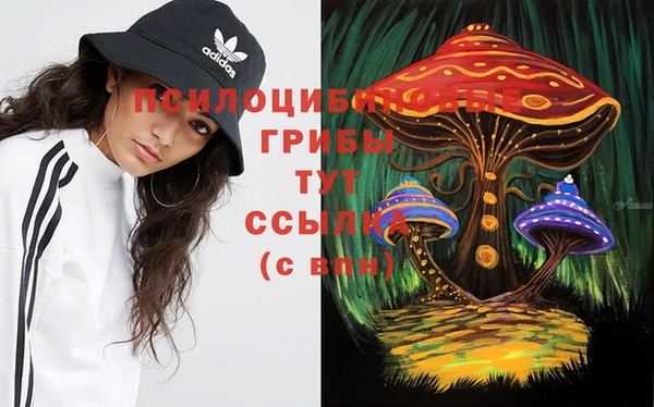 таблы Медвежьегорск