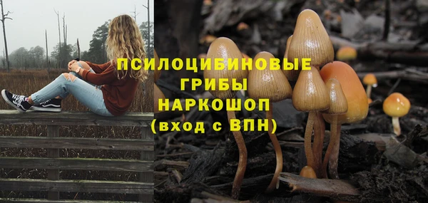 гашишное масло Мегион